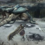 monster-hunter-tri-15
