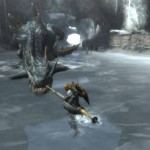 monster-hunter-tri-19