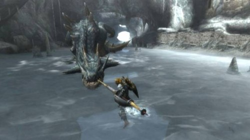 monster-hunter-tri-19