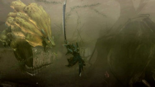 monster-hunter-tri-9