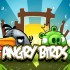 Activision sta sviluppando Angry Birds HD per console