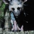 The Last Guardian annullato definitivamente?