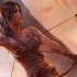 Il nuovo Tomb Raider avrà il multiplayer