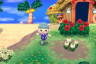 Trucchi Animal Crossing New Leaf 3DS Trucchi Animal Crossing New Leaf 3DS