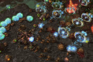 Trucchi Starcraft 2 Heart of the Swarm Trucchi Starcraft 2 Heart of the Swarm
