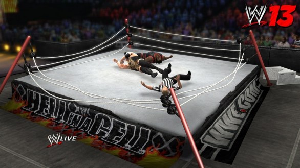WWE132