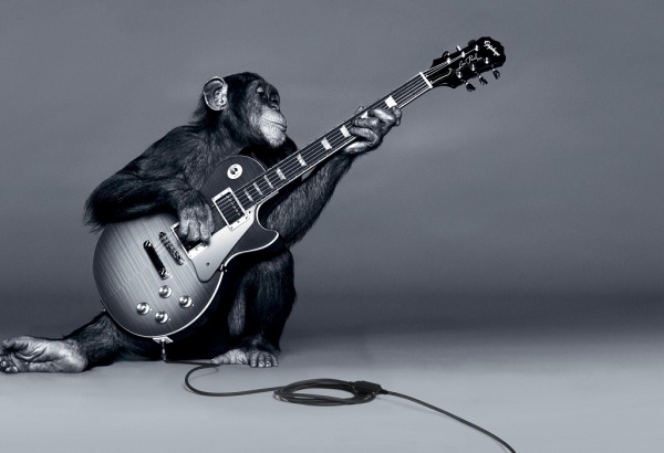 rocksmith-monkey_t