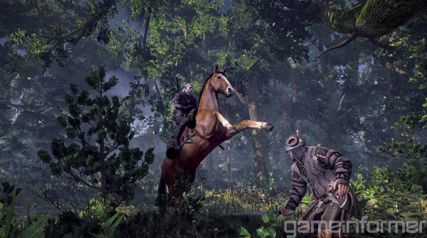 The Witcher 3 potrebbe avere il multiplayer