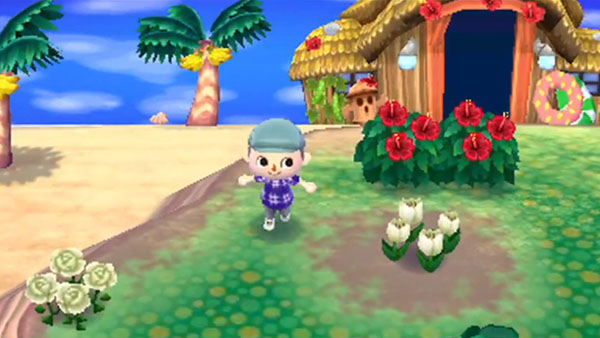 Trucchi Animal Crossing New Leaf 3DS